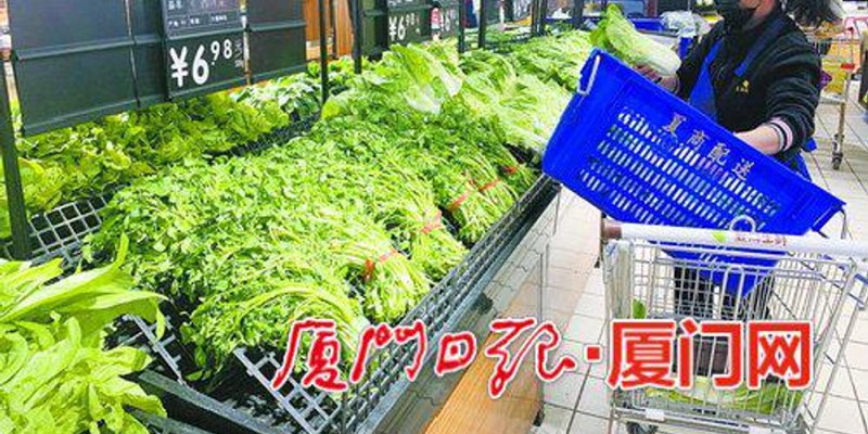 海口商贸行：城市活力与商贸繁荣的使者